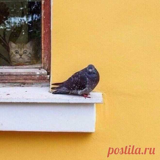 Где он?!