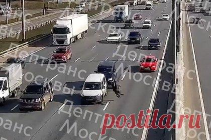 Отчаянный забег пешехода через МКАД закончился под машиной и попал на видео. В Москве решившего перебежать МКАД мужчину сбили два автомобиля. Соответствующее видео опубликовал Telegram-канал столичного Дептранса. Инцидент произошел на внутренней стороне 34 километра кольцевой дороги около развязки с Киевским шоссе. На кадрах видно, как пешеход выбегает на дорожное полотно.