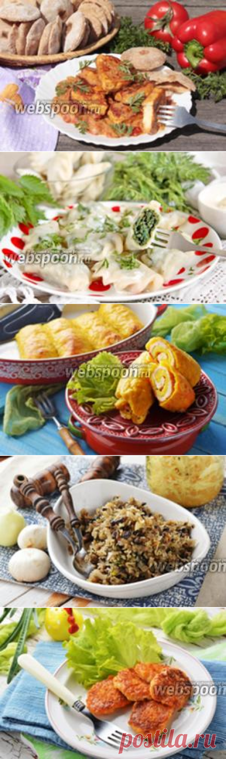 Рецепты вторых блюд с фото, пошаговое приготовление простых и вкусных блюд на каждый день на Webspoon.ru