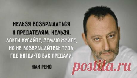 Жесткая цитата Жана Рено о том, как надо относиться к предателям | Мадам Хельга | Яндекс Дзен