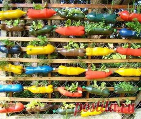 15 идей для дачи: вертикальный сад из пластиковых бутылок