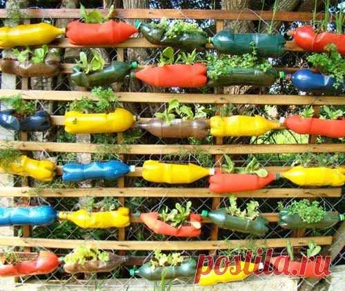 15 идей для дачи: вертикальный сад из пластиковых бутылок