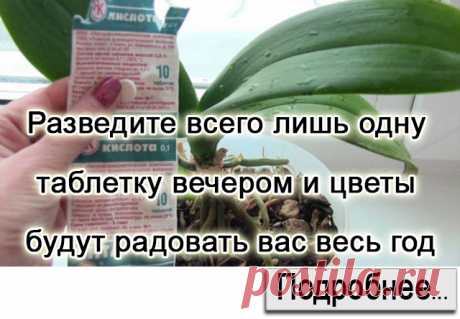 АФЕРА ВЕКА. КАСАЕТСЯ ВСЕХ КЛИЕНТОВ СБЕРБАНКА! ДЕЛАЙТЕ РЕПОСТ, ЭТО ДОЛЖНЫ ЗНАТЬ ВСЕ!!! — Полезные советы