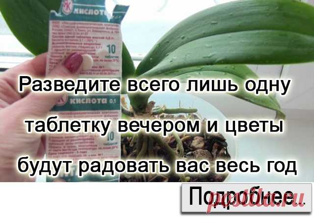 АФЕРА ВЕКА. КАСАЕТСЯ ВСЕХ КЛИЕНТОВ СБЕРБАНКА! ДЕЛАЙТЕ РЕПОСТ, ЭТО ДОЛЖНЫ ЗНАТЬ ВСЕ!!! — Полезные советы