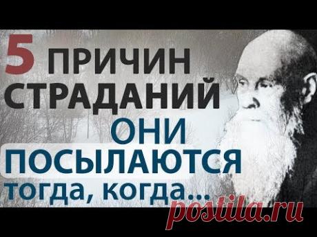 СТРАДАНИЯ КОНЧАЮТСЯ ТОГДА, когда... Избавляемся! Пестов Н