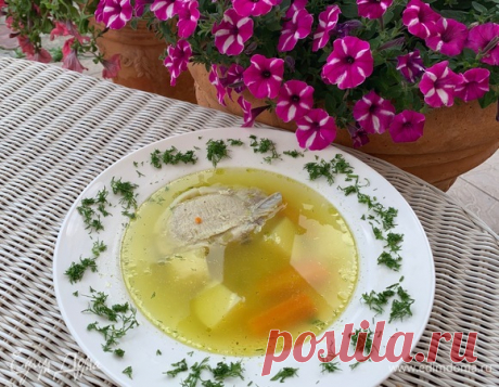 Деревенский суп. Ингредиенты: мясной бульон, морковь, лук зеленый