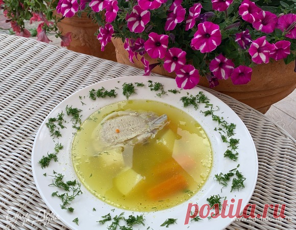 Деревенский суп. Ингредиенты: мясной бульон, морковь, лук зеленый