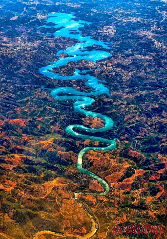 Экология: береги природу! | Животные и растения