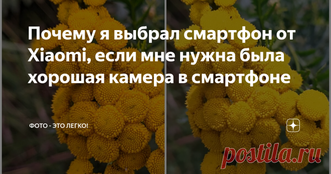 Почему я выбрал смартфон от Xiaomi, если мне нужна была хорошая камера в смартфоне Большинство людей знает, что смартфоны от Xiaomi славятся своей ценой, а не возможностями камеры. Так почему же я выбрал смартфон именно от этого производителя?