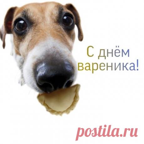 Вареники также могут быть приготовлены с различными начинками, что позволяет разнообразить наш рацион. Открытки на День вареников!