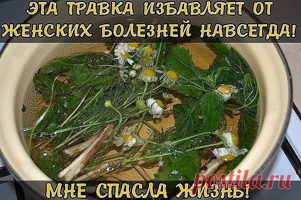 ЭТА ТРАВКА ИЗБАВЛЯЕТ ОТ ЖЕНСКИХ БОЛЕЗНЕЙ НАВСЕГДА! МНЕ СПАСЛА ЖИЗНЬ!

Женщин часто называют слабым полом, и особенно это справедливо в отношении женского здоровья - его легко и быстро можно потерять и так сложно восстановить. На начальном этапе многие недуги можно одолеть с помощью лекарственных трав.

Фитотерапия - это хорошее дополнение к лечению. Лекарственные травы восстанавливают многие функции организма и стабилизируют его состояние.

Общеизвестный факт - причинами б...