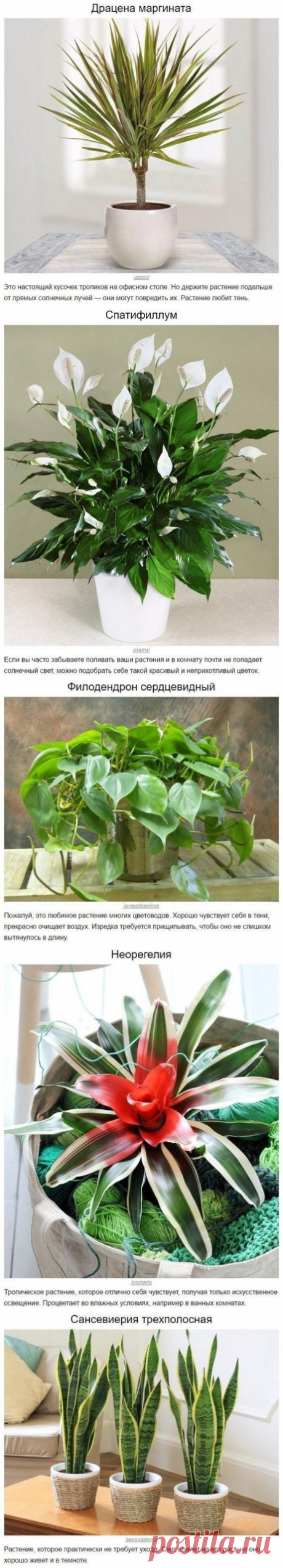(88) Одноклассники