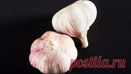 Ученые доказали, что чеснок способен снижать уровень сахара в крови - ВФокусе Mail.ru