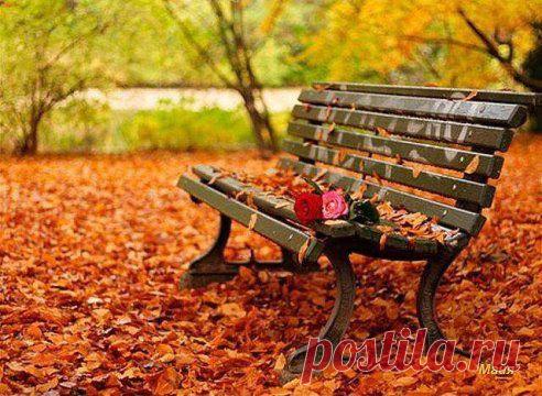 По листьям опавшим деревья не плачут... 
Им новые листья подарит весна... 
Уметь не жалеть - вот поистине Счастье... 
Не плакать о том... что ушло навсегда.