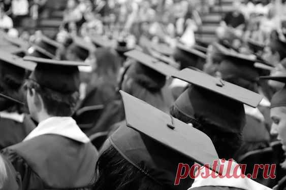 Отзыв о дипломной работе