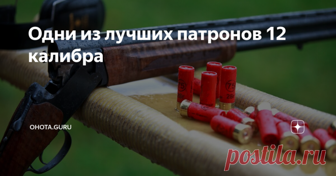 Одни из лучших патронов 12 калибра Каждому охотнику известно, как важен выбор качественных патронов для удачной охоты. Ведь от правильного выбора боеприпасов будет зависеть точность и кучность выстрелов, а также сохранность охотничьего трофея.
