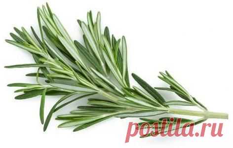5 продуктов улучшающих память