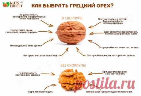 Как выбрать грецкий орех