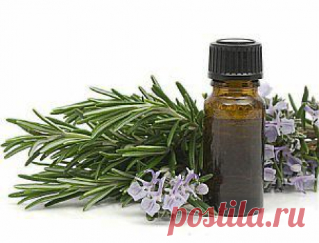 Как использовать эфирные масла дома