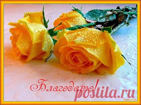 Плейкаст «СПАСИБО, ЧТО- ТЫ- ЕСТЬ !»