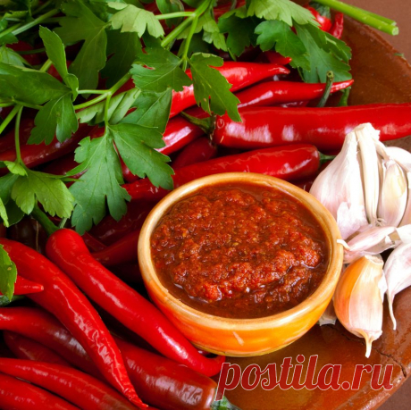 СМОТРИТЕ: Аджика «Кобра» на зиму. Самый простой и вкусный рецепт аджики