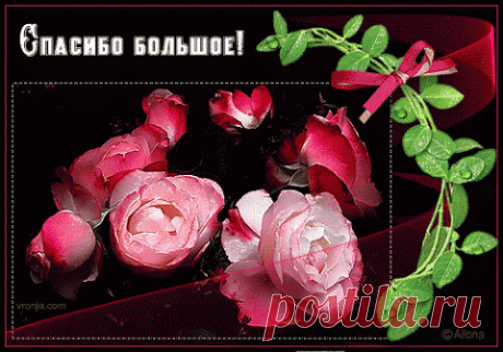 Одно сердце на двоих..... ~ Плэйкасты ~ Beesona.Ru