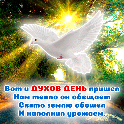 В Духов день хочу пожелать с любовью сердца и радостью души открыть страницу счастья в своей жизни.