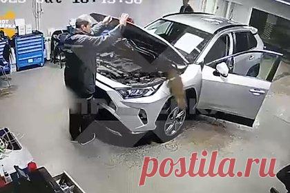 Российский кот решил согреться и нагадил в Porsche. Хозяин автомобиля Toyota Rav-4 привез автомобиль в автосервис на улице Константинова для диагностики. Однако когда он открыл капот для механиков, оттуда внезапно выпрыгнул перепуганный кот. От испуга мужчина даже схватился за сердце. Происшествие попало на камеры видеонаблюдения.