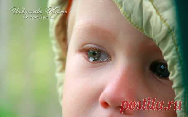 (+1) - Для родителей | ДОМОХОЗЯЙКИ+