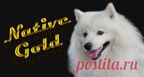 (51) Одноклассники