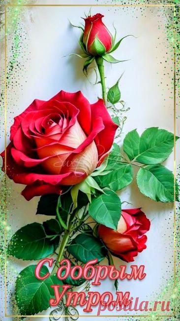 С добрым утром Привет Здрасте