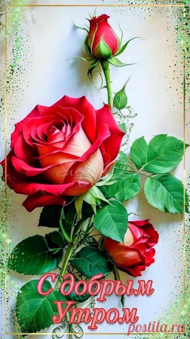 С добрым утром Привет Здрасте