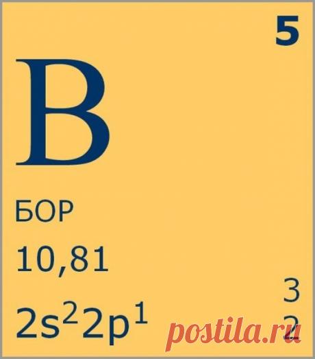 Бор.Чем полезен бор и в каких продуктах содержится?
