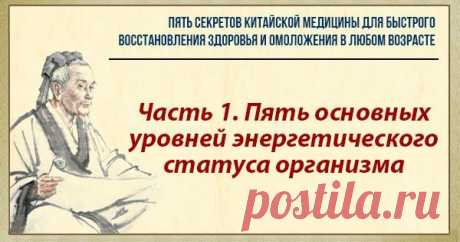 Часть 1. Пять основных уровней энергетического статуса организма