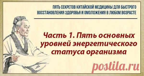 Часть 1. Пять основных уровней энергетического статуса организма