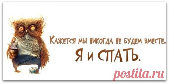 Gallery.ru / Фото #34 - О наболевшем. Про недосып :) - Inari