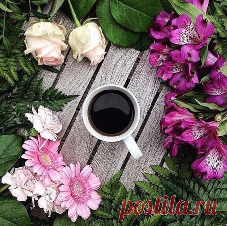 cafe y flores - Buscar con Google