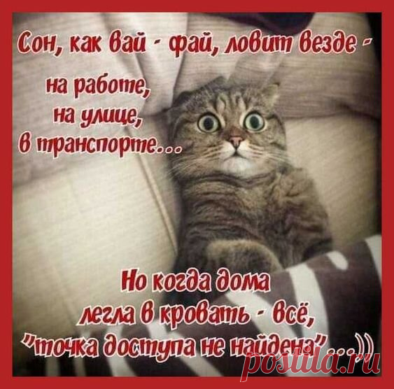 Открытка 