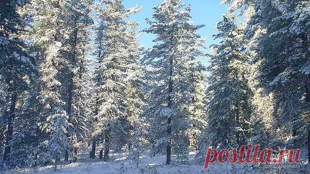 Иркутская область