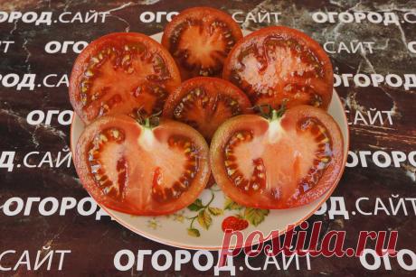 Томат Гордость Перта (гном), семена | ОГОРОД.сайт