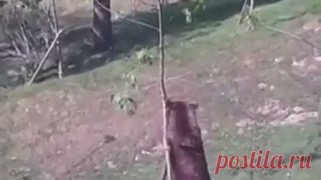 До слез. Мама спасает своего малыша