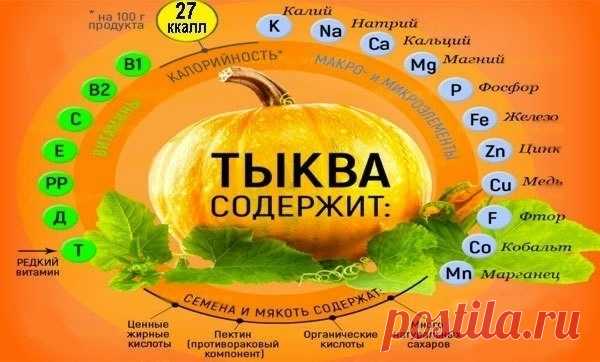 ТЫКВА: ПОЛЬЗА ДЛЯ ОРГАНИЗМА ЧЕЛОВЕКА