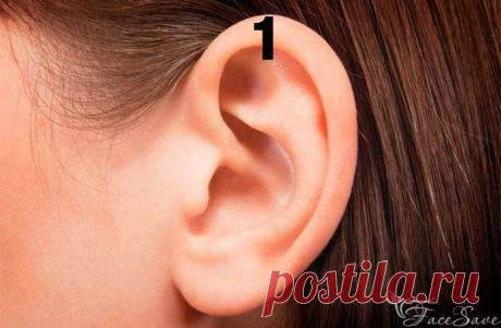 6 точек на ухе: зажимаем их прищепкой на 5 секунд и лечим всё тело | FaceSave.ru | Яндекс Дзен