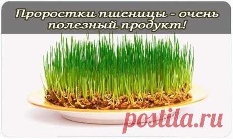 Женские штучки! | Полезности из мира женщин!