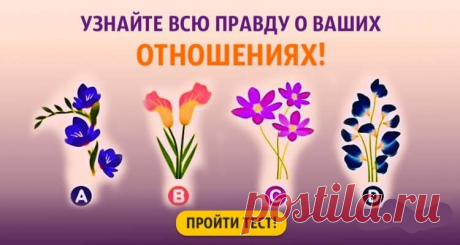 Тест. Узнайте всю правду о ваших отношениях, выбрав цветок!