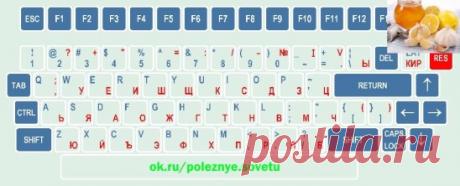 ОБОЗНАЧЕНИЕ КЛАВИШ НА КЛАВИАТУРЕ КОМПЬЮТЕРА!!!
---------------------------------------------------------------------------------------------
Чтобы не потерять ,  жмите класс, а потом поделиться.
-------------------------------------------------------------------------------------------
F1— вызывает «справку» Windows или окно помощи активной программы. В Microsoft Word комбинация клавиш Shift+F1 показывает форматирование текста;
F2— переименовывает выделенный объект на рабочем столе или в окне п