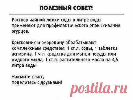 ✔ ПОЛЕЗНЫЕ СОВЕТЫ : 
Сохраните, чтобы не потерять.