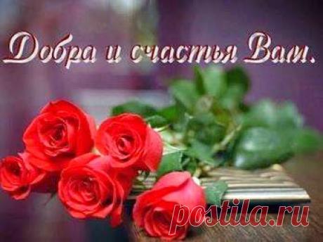 Блог Валентины Каймулдиновой