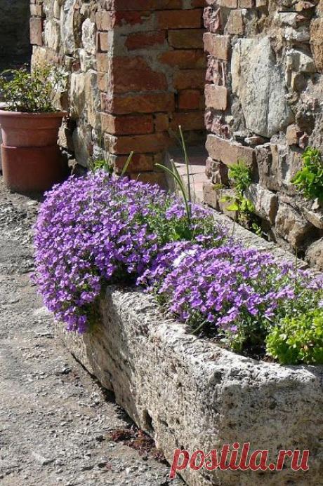 Pinterest: инструмент для поиска и хранения интересных идей