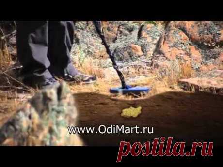 Металлоискатель Minelab Eureka Gold Metal Detector